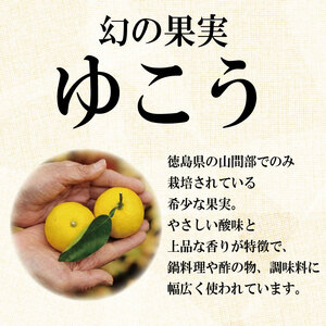 ゆこう リキュール 8度 720ml ドリームチーム