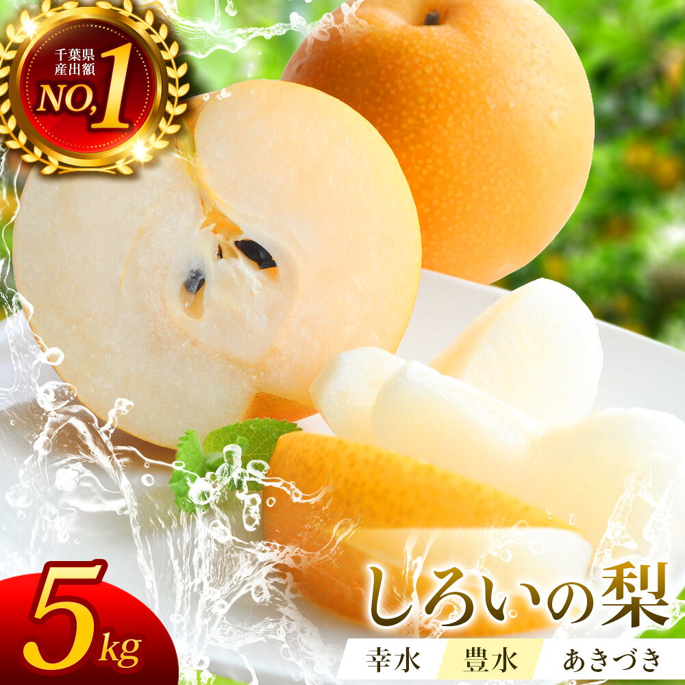 【ふるさと納税】梨【2026年先行予約】選べる品種 しろいの梨 5kg 12〜18玉 ( 幸水 豊水 あきづき ) 千葉県 白井市 なし nasi ナシ ジューシー 甘い 果物 フルーツ 秋の味覚 旬 人気 おすすめ ランキング 産地直送 お取り寄せ 数量限定 ご家庭用 ギフト 訳あり