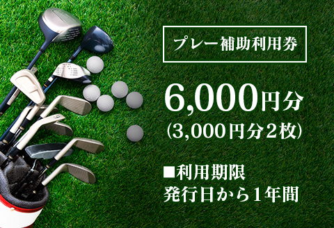 ゴルフ 補助券 千代田ゴルフ倶楽部 優待 プレー 補助利用券 6,000円分