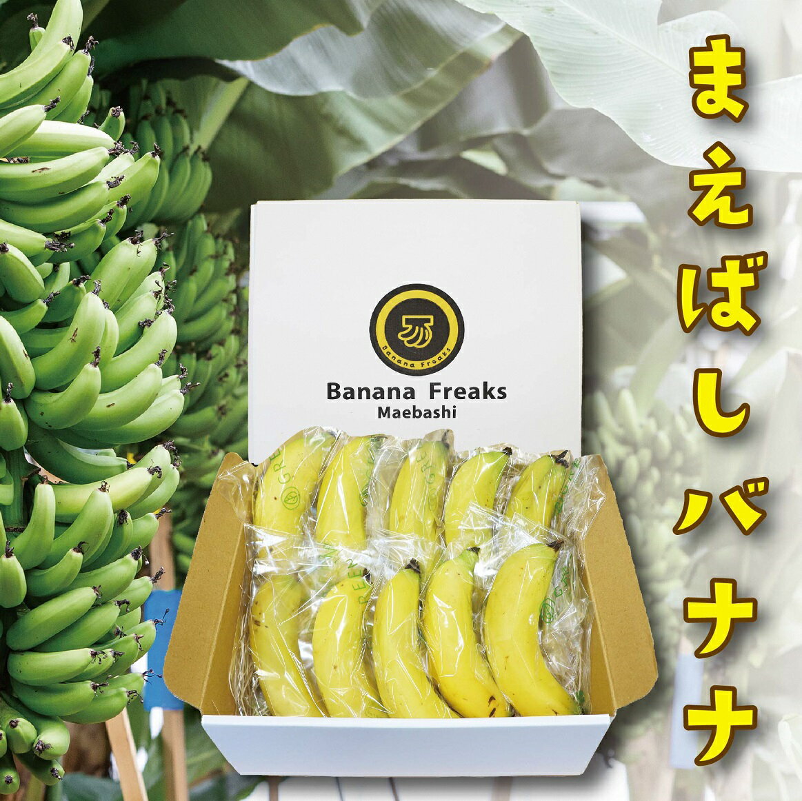 【ふるさと納税】前橋産バナナ1.2kg｜国産バナナ 国産 完熟 樹上熟 甘い ねっとり
