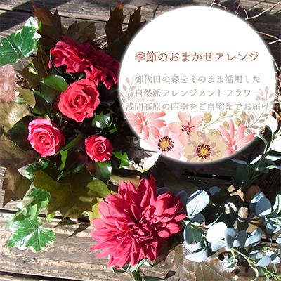 ふるさと納税 御代田町 信州の森からお届け!季節の草木おまかせ自然派完全手作りくらふとアレンジメントフラワーセット |  | 01