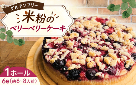 グルテンフリー ヴィーガン 米粉のベリーベリーケーキ18cmホール / ケーキ 苺 / 佐賀県 / 株式会社santecafeまる[41AHAF002]