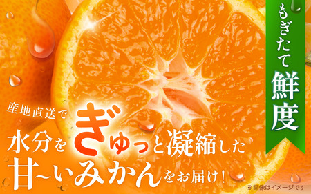 こだわりの 有田 みかん 2kg 【ご家庭用】 ※北海道・沖縄・離島配送不可 ※2027年1月発送予定【nuk004-c-2-janH】 