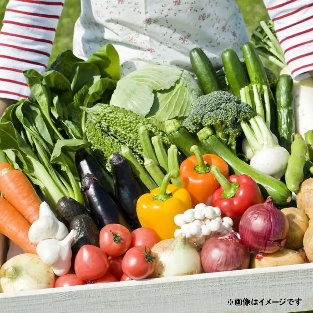 【12回定期便】野菜セット 12から13品目 野菜定期便[SGG001]