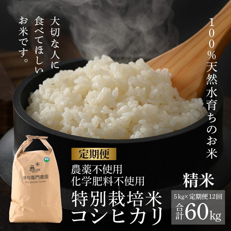 【令和6年産 新米】《定期便12回》伊与衛門農園のコシヒカリ 精米 5kg （計60kg）特別栽培米 化学肥料不使用 ＜温度と湿度を常時管理し新鮮米を出荷！＞／ 高品質 鮮度抜群 福井県あわら産 ブランド米 白米 お米