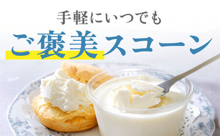 スコーンクリームサンド アソートセット 6P 多治見市/famfam スコーン 洋菓子 個包装 詰め合わせ 詰合せ おまかせ スイーツ[TAK003]