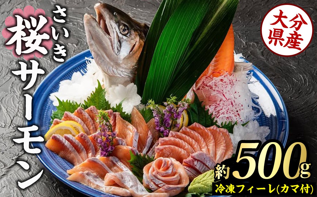 
                  さいき 桜 サーモン フィーレ (1尾分・約500g) 期間限定 冷凍 サクラマス 刺身 ムニエル お味噌汁 お鍋 国産【GP013】【高瀬水産】
                