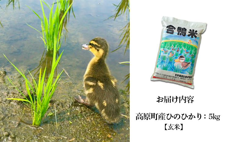 【令和7年産】無農薬栽培 合鴨米ひのひかり(玄米)5kg TF0424-P00029