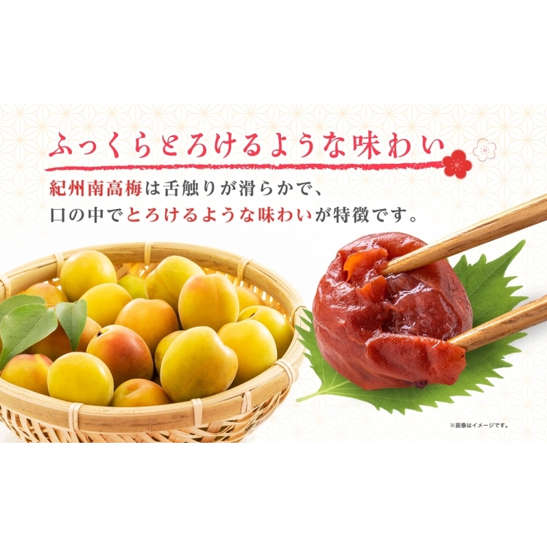 りんごはちみつ梅 200g×4パック 梅干し 3L～4Lサイズ 南高梅 紀州 うめぼし りんご酢 てんさい糖  甜菜糖 リンゴ りんご 紀州梅 梅 ウメ 国産 備蓄 長期保存 健康 減塩 グルメ お取
