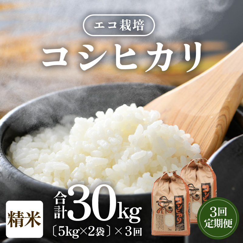 【先行予約】【令和7年産 新米】《定期便3回》エコ栽培コシヒカリ 白米10kg（5kg×2袋）計30kg ／ 鮮度抜群 福井県産 こしひかり ご飯 新鮮 白米 ※2025年10月上旬より準備出来次第発送 [aw063-g001]