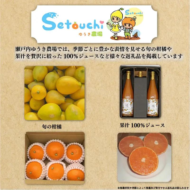 【2026年12月上旬頃から順次発送】 【特選】愛果28号 （ 紅まどんな と同品種）約3.0kg Lサイズ ｜あいか みかん 産地直送 国産 柑橘 愛媛県 松山市 瀬戸内ゆうき農場【SY054】