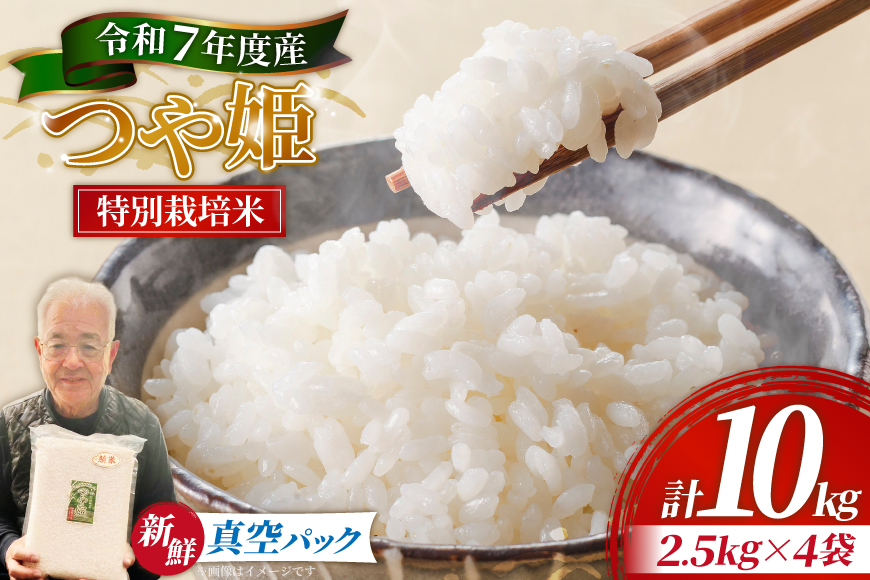 米 令和7年産 特別栽培米 つや姫 10kg (2.5kg×4袋) [齋藤 文芳 山形県 高畠町 tk06biz810000] コメ ご飯 ごはん お米 ブランド米