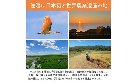＜定期便3回・先行予約＞【令和７年産・数量限定】新潟県佐渡産の純粋コシヒカリ　精米【無洗米】5kg×3回　送料無料　R7年12月上旬～R8年2月上旬の3回送付