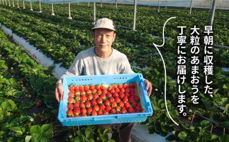 【先行予約受付中・2024年1月下旬より順次発送】【農家直送！】 糸島産 あまおう 280g × 4パック (GおよびSサイズ) 糸島市 / 後藤農園 [AML003] いちご 苺 イチゴ あまおう 