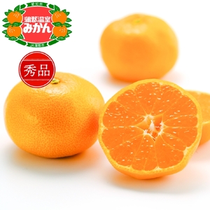 【2027年6月下旬～発送予定】※先行予約【期間限定】蒲郡温室みかん ５kg（秀品）_【G0356】