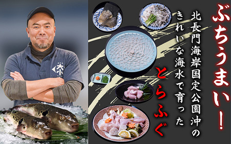 【配送日指定可】 ふぐ皮 ふぐ 河豚 フグ フグ皮 とらふぐ トラフグ てっぴ とらふぐ皮 皮刺身 大満足 セット 大容量 400ｇ 小分け 小分けパック 冷凍 急速冷凍 トラフグ フグ 最高級とらふ