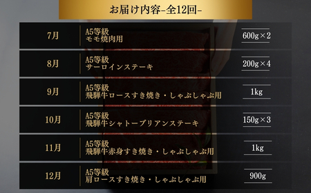 【定期便】飛騨牛三昧 定期便 12回 12ヶ月 1年 食べ比べ A5等級 5等級 a5 牛肉 肉 和牛 国産牛 黒毛和牛 焼肉 やきにく ヤキニク 赤身 霜降り お楽しみ トキノ屋食品 本巣市 定期便