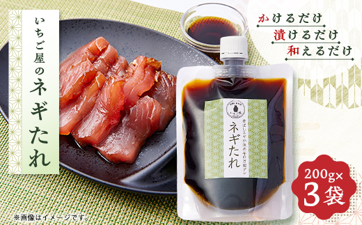 
                  《3袋入り》万能調味料「ねぎタレ」便利なチューブパウチ　保存料・着色料無添加【1712909】
                
