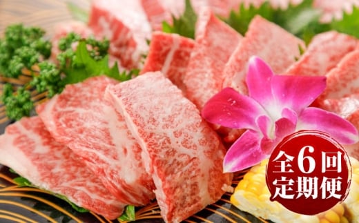【全6回定期便】GI認証 くまもとあか牛 焼肉 約500g 計約3kg / 霜降り 高品質 あか牛 牛肉 niku あかうし 赤牛 ブランド 旨み 熊本県 菊陽町 冷凍 やきにく ブランド牛 肉 500g 定期【菊陽町(阿蘇牧場)】 [BHAZ027]