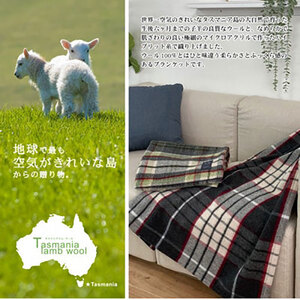 ＜ハーフサイズ＞タスマニアラムウール混毛布 90×140cm グリーン1枚 SH-34911L