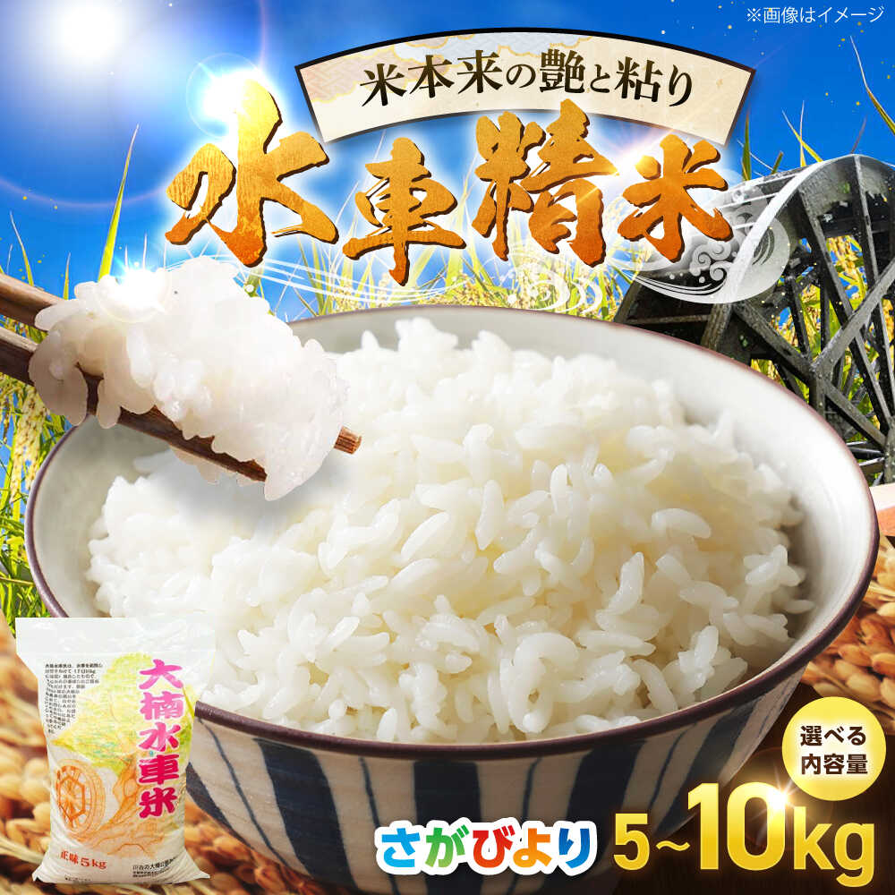 【ふるさと納税】【選べる内容量】令和7年産米 大楠水車米 さがびより 5kg・10kg /若木町まちづくり推進協議会 [UBY003]