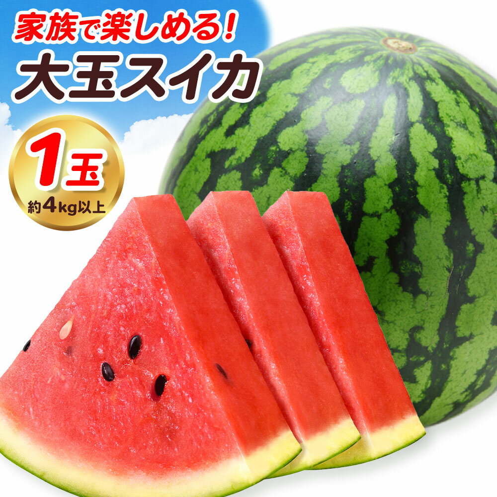 【ふるさと納税】【先行予約】大玉すいか 1玉 約4kg 株式会社エフビーネット《5月上旬-7月中旬頃出荷》熊本県 菊池市 すいか スイカ 大玉 熊本県産 フルーツ
