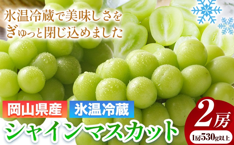 
            239.【2025年出荷先行予約】岡山県産 冷蔵 シャインマスカット 2房 (530g以上) 【配送不可地域あり】 《11月中旬-12月末頃に出荷予定(土日祝除く)》 岡山県 矢掛町 マスカット ぶどう 葡萄 氷温冷蔵 果物 フルーツ
          