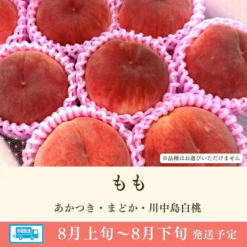 No.3264 道の駅ふくしま 福島市産 もも　約1.5kg（4玉～5玉）【2026年発送】