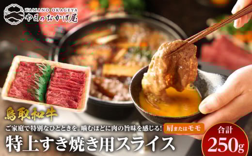
            42.鳥取和牛 特上赤身すき焼き用スライス 肩またはモモ 250g【国産 鳥取和牛 和牛 焼肉 肉 にく すき焼き モモ 鳥取県 北栄町 おすすめ 人気】 
          