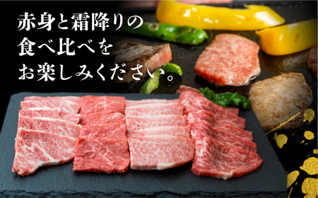 A5等級 飛騨牛 焼肉 4種 食べ比べセット 計600g 赤身 霜降赤身 カルビ 霜降り肉 部位 肉 牛肉 お肉 和牛 冷凍 岐阜県 国産 ブランド牛 鍋 グルメ お取り寄せ 化粧箱入り 27000円