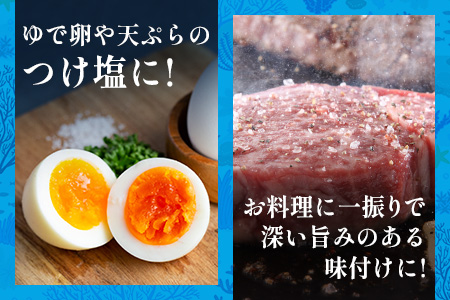 石垣の塩 500g×2 計1kg ｜ 沖縄 石垣 塩 調味料 海塩 SI-94