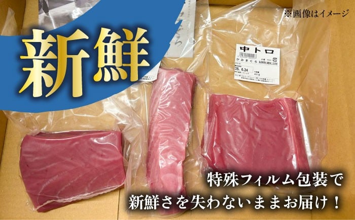 五島列島産 養殖 生本かみマグロ 赤身 中トロ 大トロ 計約500g / マグロ まぐろ 鮪 刺身 ブロック