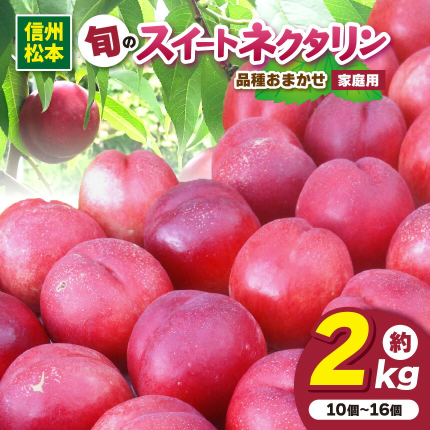 【ふるさと納税】【7月中旬～発送】信州産 品種おまかせ旬のネクタリン 家庭用約2kg（10個～16個）｜ふるさと納税 信州 松本 ネクタリン オリジナル 品種 甘い 果物 フルーツ 甘い おすすめ 家庭用