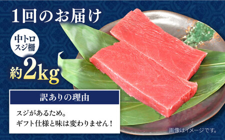 【全12回定期便】【訳あり】天然 本まぐろ 中トロスジ柵（2kg） 鮪 マグロ 魚 刺身 横須賀【横須賀商工会議所 おもてなしギフト事務局（本まぐろ直売所）】 [AKAK073]