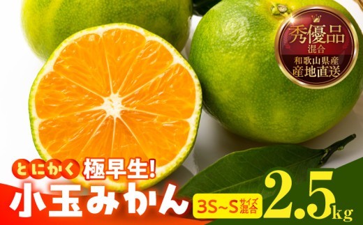 
                  【2026年先行予約】とにかく小玉 みかん 極早生 箱込 2.5kg ( 内容量 2.3kg ) 3S～Sサイズ 秀品 優品 混合 有田みかん 和歌山県産_MK1077
                