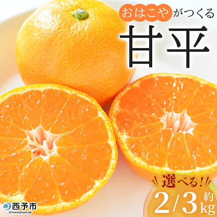 【ふるさと納税】＜おはこやがつくる 甘平 約2kg/3kg（L～3Lサイズ）＞ 果物 フルーツ 柑橘類 かんぺい カンペイ オレンジ みかん ミカン サイズ混合 おいしい 甘い 愛媛限定栽培 特産品 産地直送 西宇和 愛媛県 西予市【常温】『2026年2月上旬～2月下旬迄に順次出荷予定』