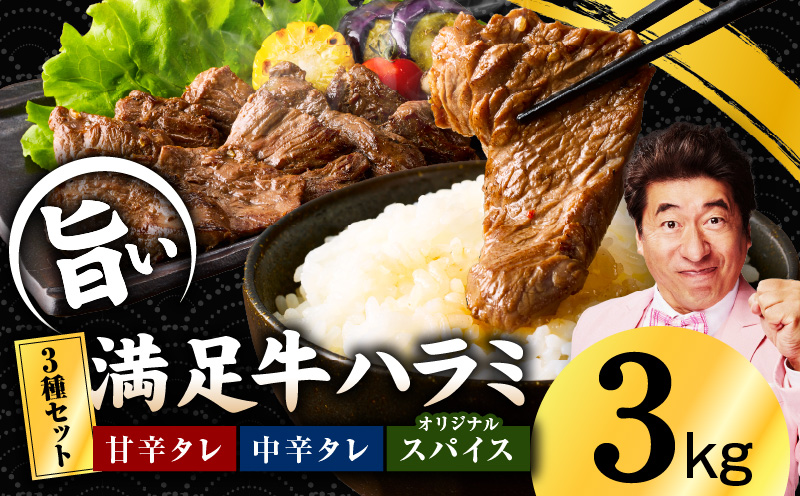 【満足牛ハラミ】3種セット （甘辛タレ漬け・中辛タレ漬け・オリジナルスパイス仕込み）  合計3kg 【味付け ハラミ 小分け 焼くだけ 簡単調理 BBQ 牛肉 250g×12P 普段使い 大阪 泉佐野 大阪府 泉佐野市】