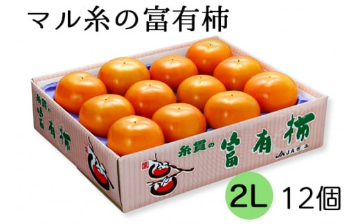 【先行予約／令和8年産／2026年11月下旬より発送予定】【柿の王様】マル糸の富有柿 2Lサイズ (12個入) ｜柿 くだもの 果物 旬 デザート フルーツ 農家直送 産地直送 岐阜県 本巣市 [mt188]