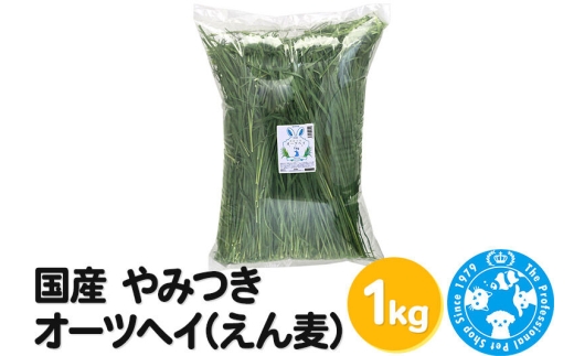 国産 やみつきオーツヘイ（えん麦）1kg [業務用サイズ 牧草 うさぎ モルモット 小動物おやつ USAYAMA 株式会社チャーム charm ペット]