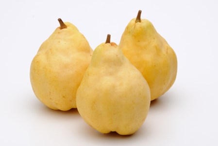 【2025年先行予約】新潟特産 幻の洋梨ル・レクチェ 家庭用 3kg (7～9個入)《11月下旬～12月中旬お届け》 ルレクチェ ル・レクチエ ルレクチエ