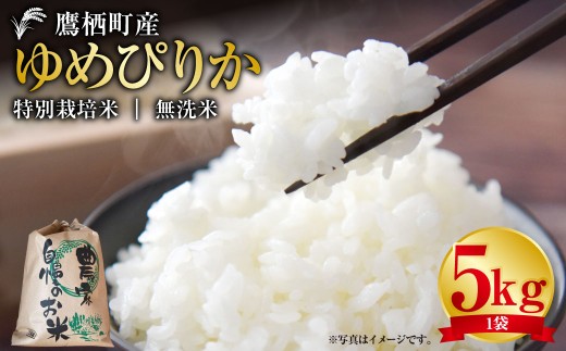 【令和7年産】 ゆめぴりか （ 無洗米 ） 5kg 北海道 鷹栖町 たかすタロファーム 米 コメ こめ ご飯 お米