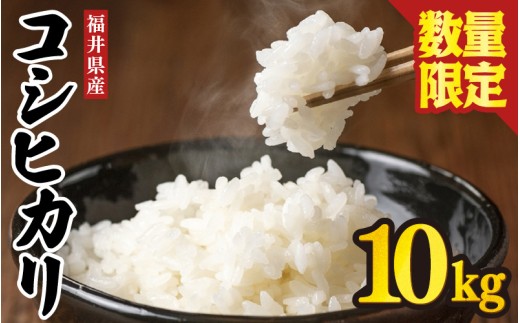 コシヒカリ 10kg 白米 令和7年産 【数量限定！】 お米 米 こめ コメ こしひかり 福井県産コシヒカリ 坂井市産コシヒカリ コシヒカリ 白米 国産米 10キロ 精米 ブランド米 産地直送 [B-3258]