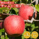 【ふるさと納税】1月 サンふじりんご「特A」約3kg 糖度13度以上 【森山商店・平川市産・青森りんご・1月】