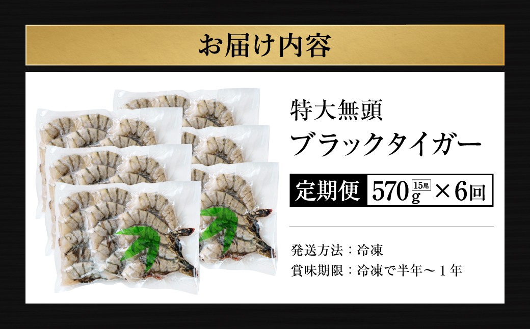 【6回定期便】特大 ブラックタイガー 無頭えび  ｜海老 えび エビ ブラックタイガー 海鮮 魚介 殻付き 冷凍 大阪府 阪南市