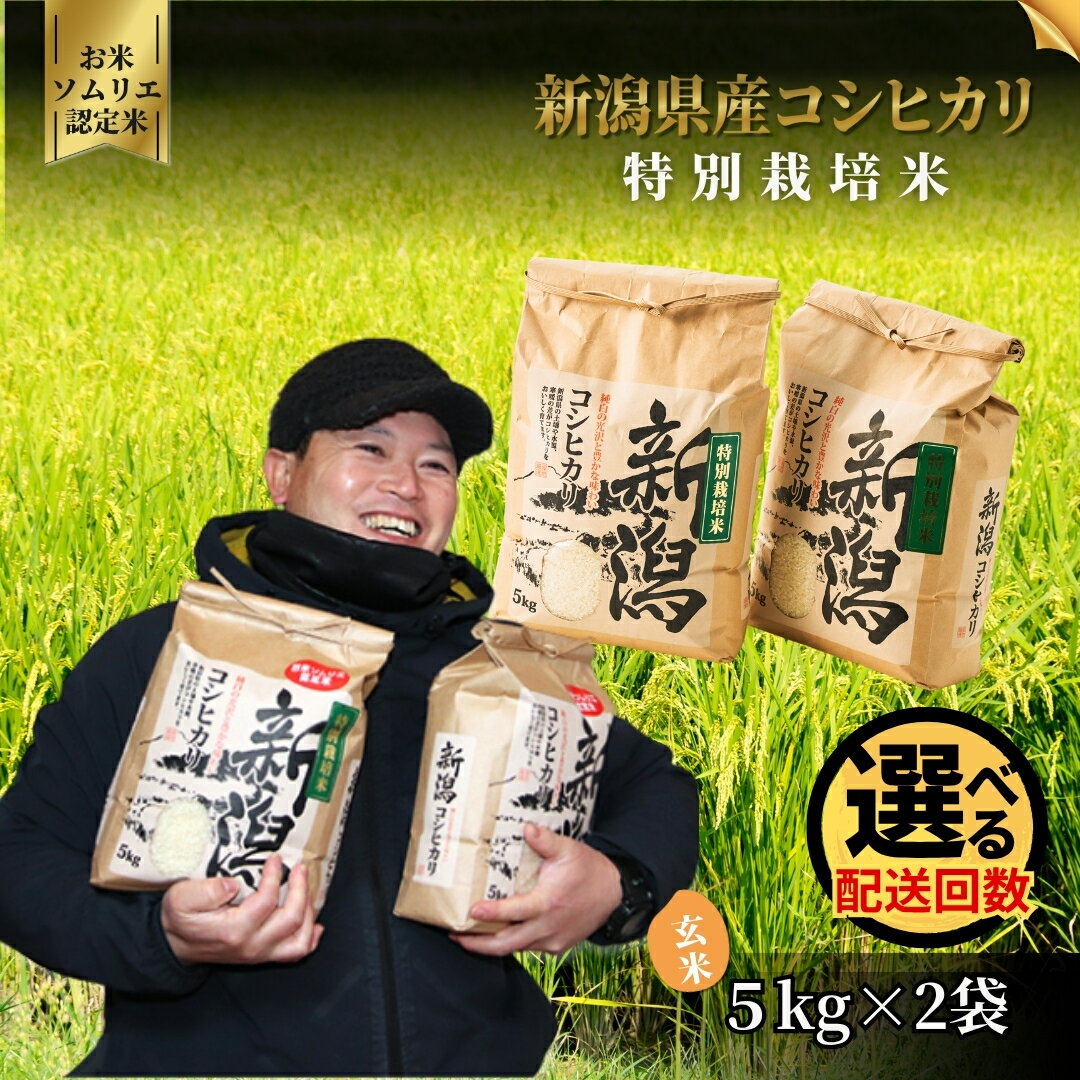【ふるさと納税】 令和7年産 新米 玄米 10kg ( 5kg × 2袋 ) 五泉市産 コシヒカリ 特別栽培米 お米ソムリエのお米 | げんまい こしひかり おこめ 新潟県 五泉市 エバーグリーン農場