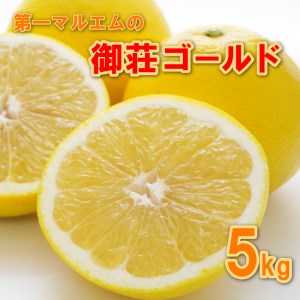 【先行予約】御荘ゴールド (河内晩柑)  5kg 減農薬 柑橘 フルーツ 愛媛みかん ポンカン 文旦 河内晩柑 温州みかん ブラッド オレンジ ネーブル せとか なつみ 蜜柑 みかん 檸檬 果物 果実 ジューシー 数量限定 さっぱり 第一マルエム 愛媛県 愛南町