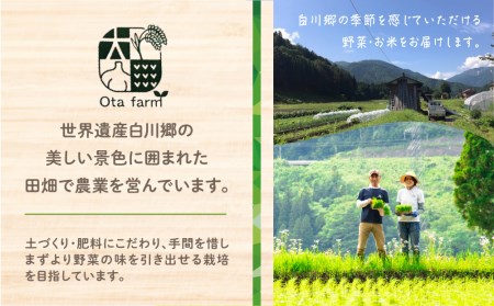 先行予約 令和5年産 白川郷 戸ヶ野のこしひかりプレミアム 白姫 2kg こだわりのお米 精米 コシヒカリ 岐阜県 飛騨 世界最高米 認定 農家 9000円 [S438]