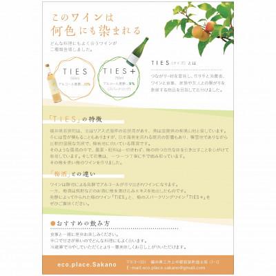 ふるさと納税 若狭町 福井県若狭町　Japanese apricot sparkling wine　750ml |  | 03