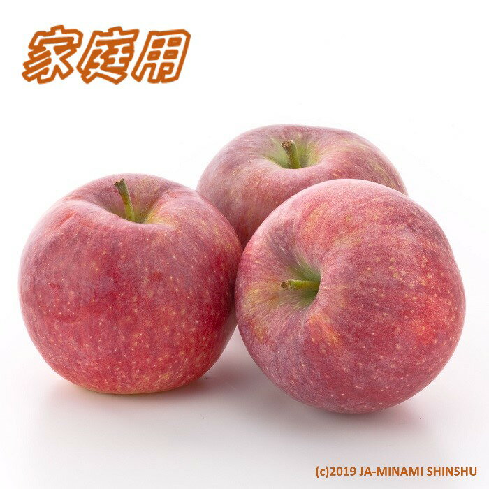 【ふるさと納税】りんご シナノリップ＜ご家庭用＞【16～20玉】※2025年8月中旬～9月中旬発送※