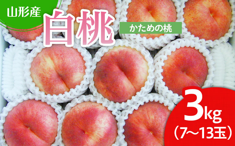 
山形市産 白桃 3kg(かための桃) 【令和6年産先行予約】FU22-025 フルーツ くだもの 果物 山形 山形県 山形市 2024年産
